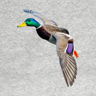 Mallard Landing T-Shirt